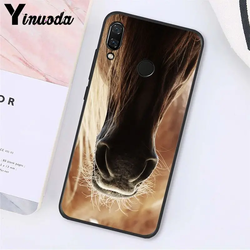 Running Horse Animal