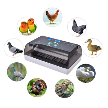 

4-35 Egg Hatchers Large Capacity Mini Eggs Incubator For Chicken Poultry Quail Turkey Eggs Home Automatic Egg Turning