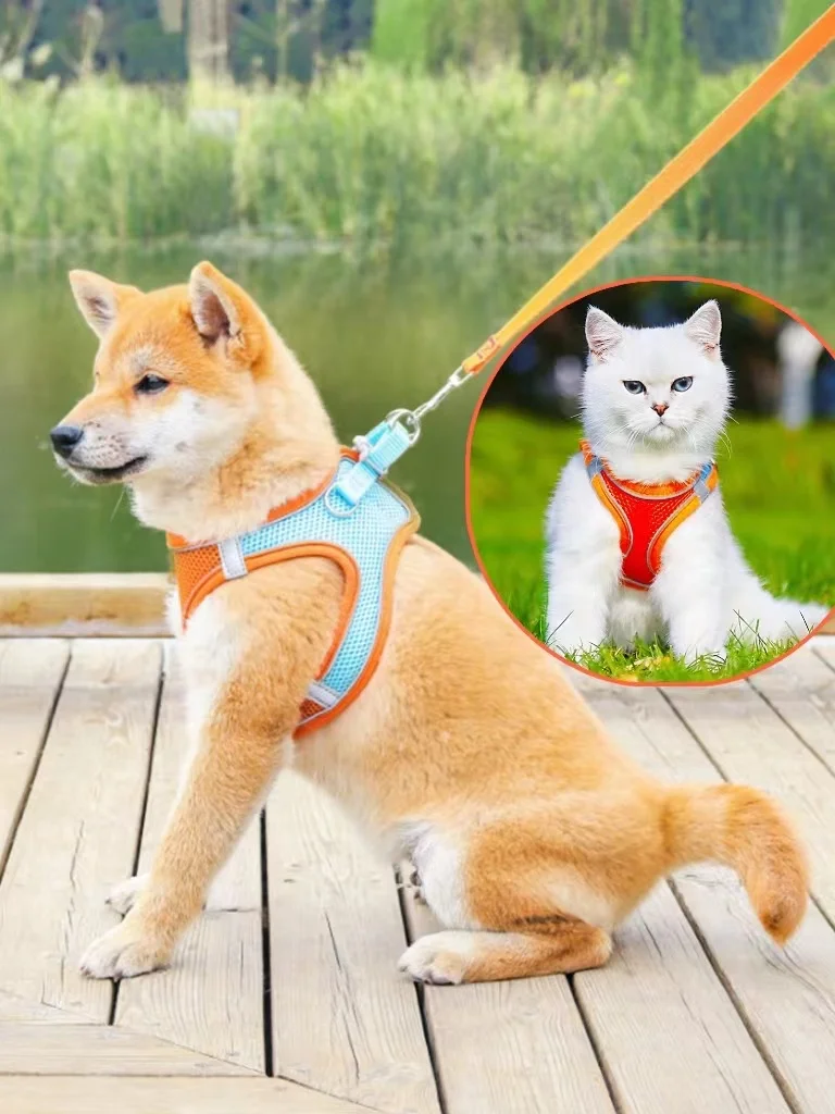 

Pet Leash Suitable For Small And Medium-sized Dogs to Walk the Dog Puppy Vest Harness Hand Leash Cat Breathable Chest Strap