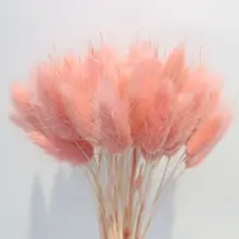 30 шт./лот, градиентный букет из натуральных сушеных цветов с изображением лагуруса оватуса, свадебные украшения для дома, Кролик хвост, трава, настоящие цветы
