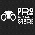 Pro Auto-Parts Store