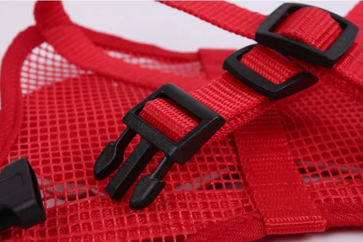 TB2D3sfcFXXXXbcXXXXXXXXXXXX_!!2033922267