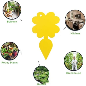 

12 Pcs Yellow Sticky Traps Fruit Fly Trap Gnat Trap Indoor Waterproof Fungus Gnat Killer For Indoor Plants Non-toxic Odorless