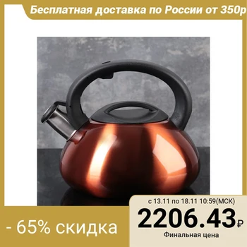 

Teapot 3 l with a whistle "Town", copper