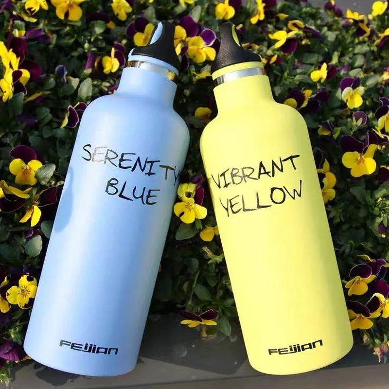 FEIJIAN Sports Bottle With Hook, 500ML, Portable Bottle, Stainless Steel Water Bottles, Mugs, Vacuum Thermos Flask, 6 Colors