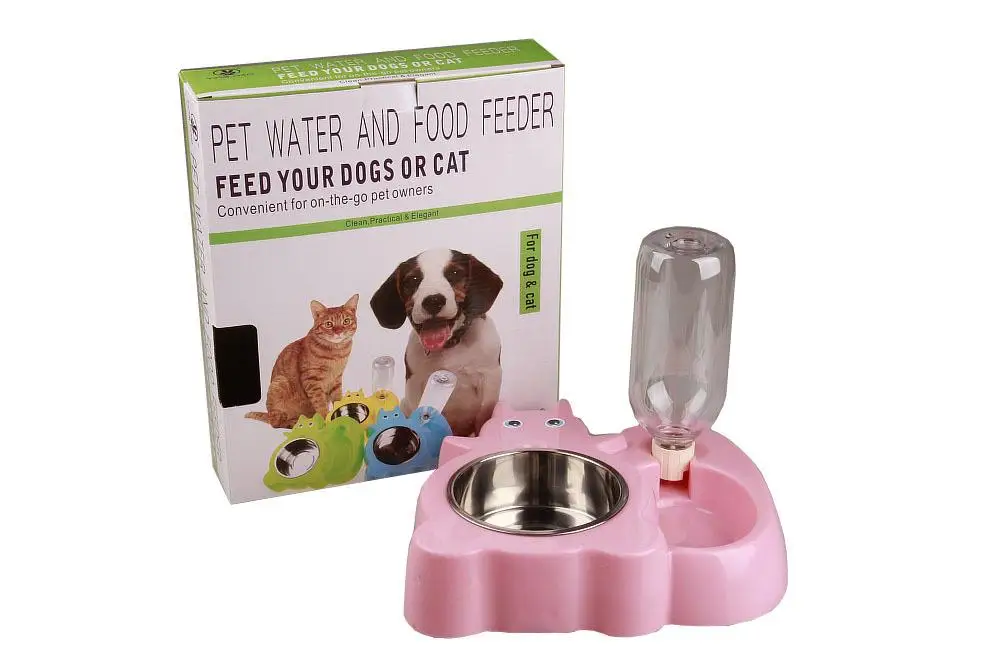 Squirrel frog cartoon dog drinking bowl (27)