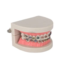 1 шт. Стоматологическая Ортодонтическая модель зуба с Орто-металлическим керамическим кронштейном арки проволоки Buccal трубки лигатуры Галстуки