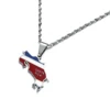 Stainless Steel Costa Rica Map Flag Charm Necklaces La Republica de Costa Rica Map Pendant Chain 5