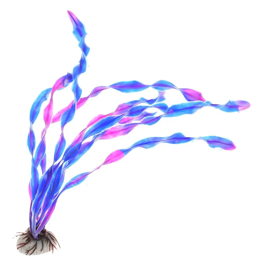 481521874984_DSC_5841