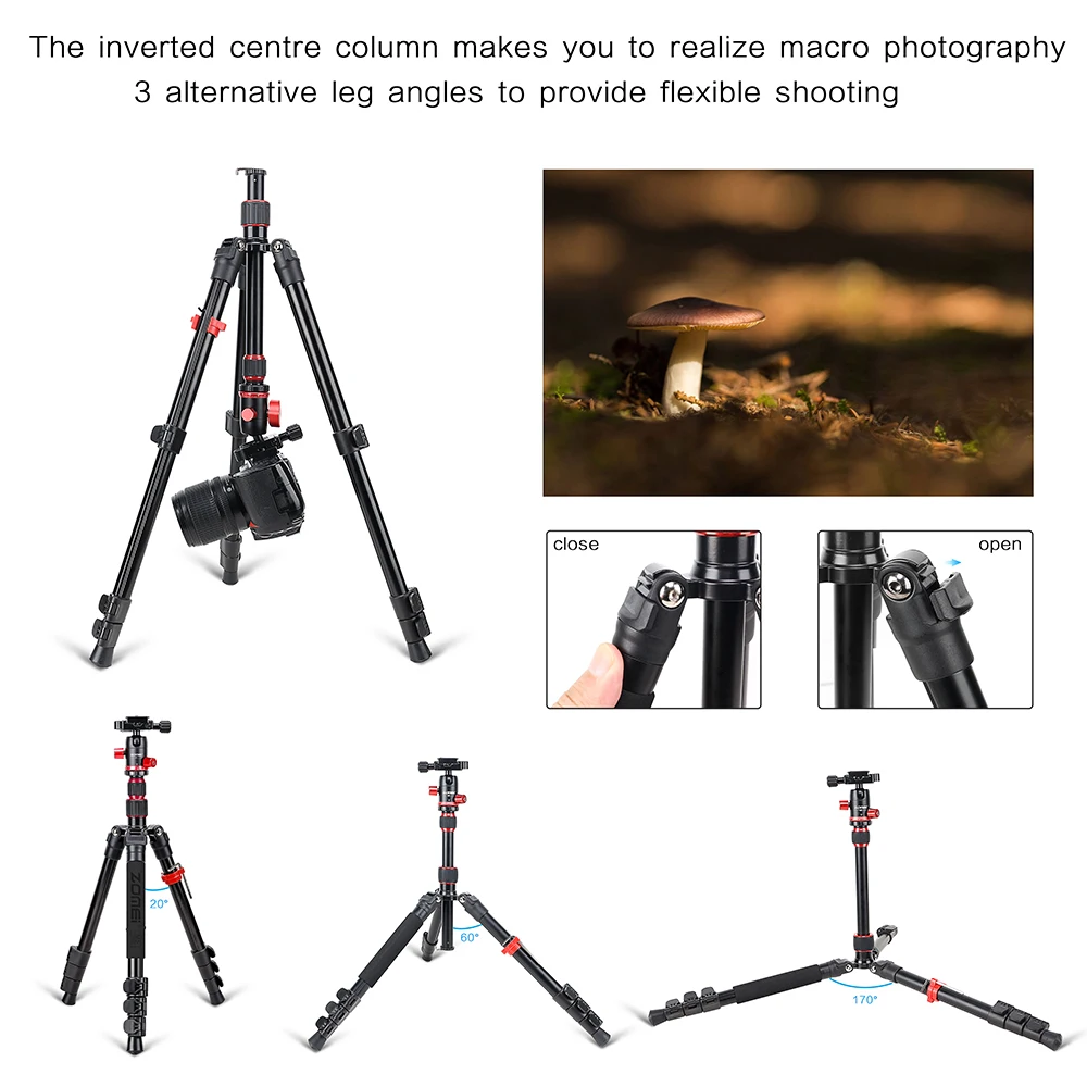 Cadiso M5 Professional Photo Camera Mount Tripod