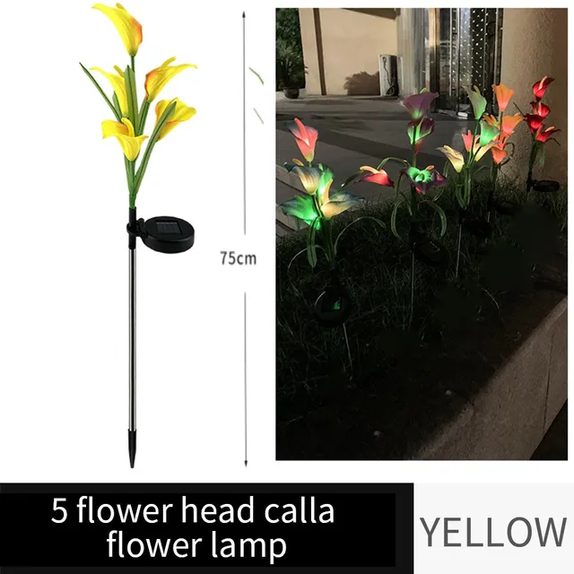 L Calla lily
