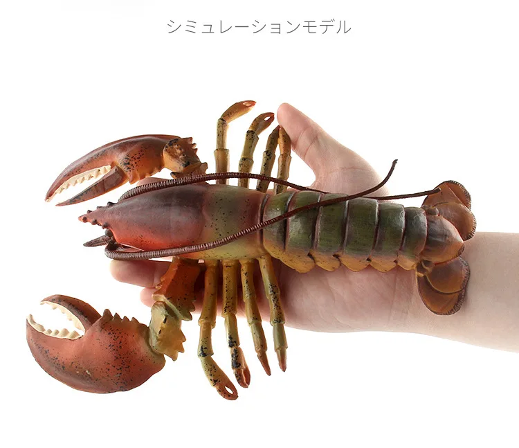Крестообразная игрушка морские организмы, модель омаров, океаны, модель животного, подводная игрушка, кукольные украшения, пластик
