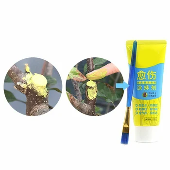 

Tree Wound Bonsai Cut Paste Smear Agent Pruning Compound Sealer with Brush YE-Hot