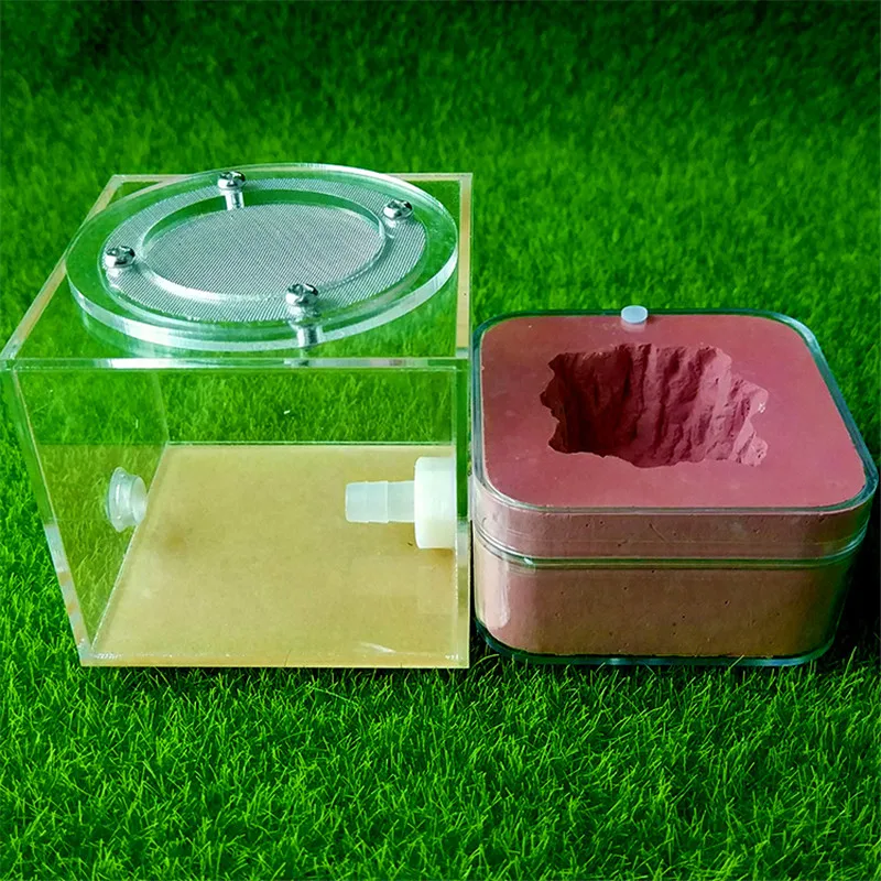Plaster Ant Nest Acrylic Ant Farm Ants Queen House Insect Cage Anthills Pet Ant House Granja De Hormigas Hormiguero (9)