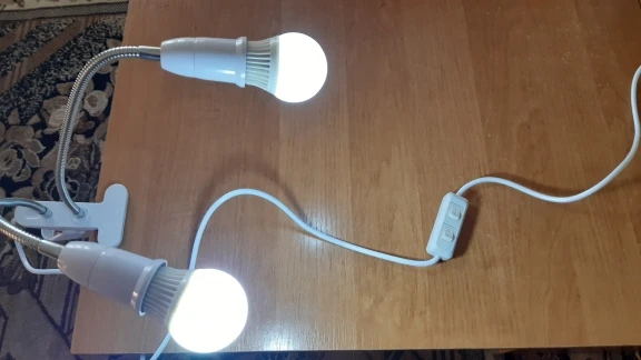 U9afdcc723cfc4edaa5ad45c9f0ab131cm