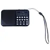 Portable Audio 