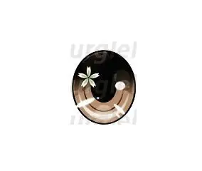 QQ20190621202608