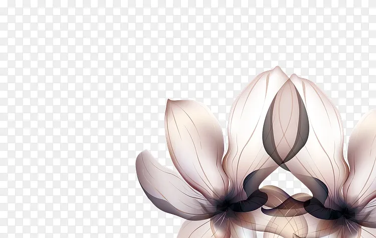 半透明设计感大花png图片素材免费下载 图片编号yzkkvneb Pngbag素材网