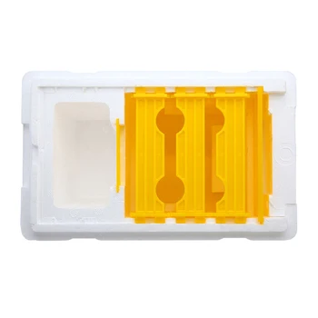 

Bee Hive Beekeeping King Box Pollination Box Foam Frames Beekeeping Tool Kit for Farm Garden Beeworking Pollination