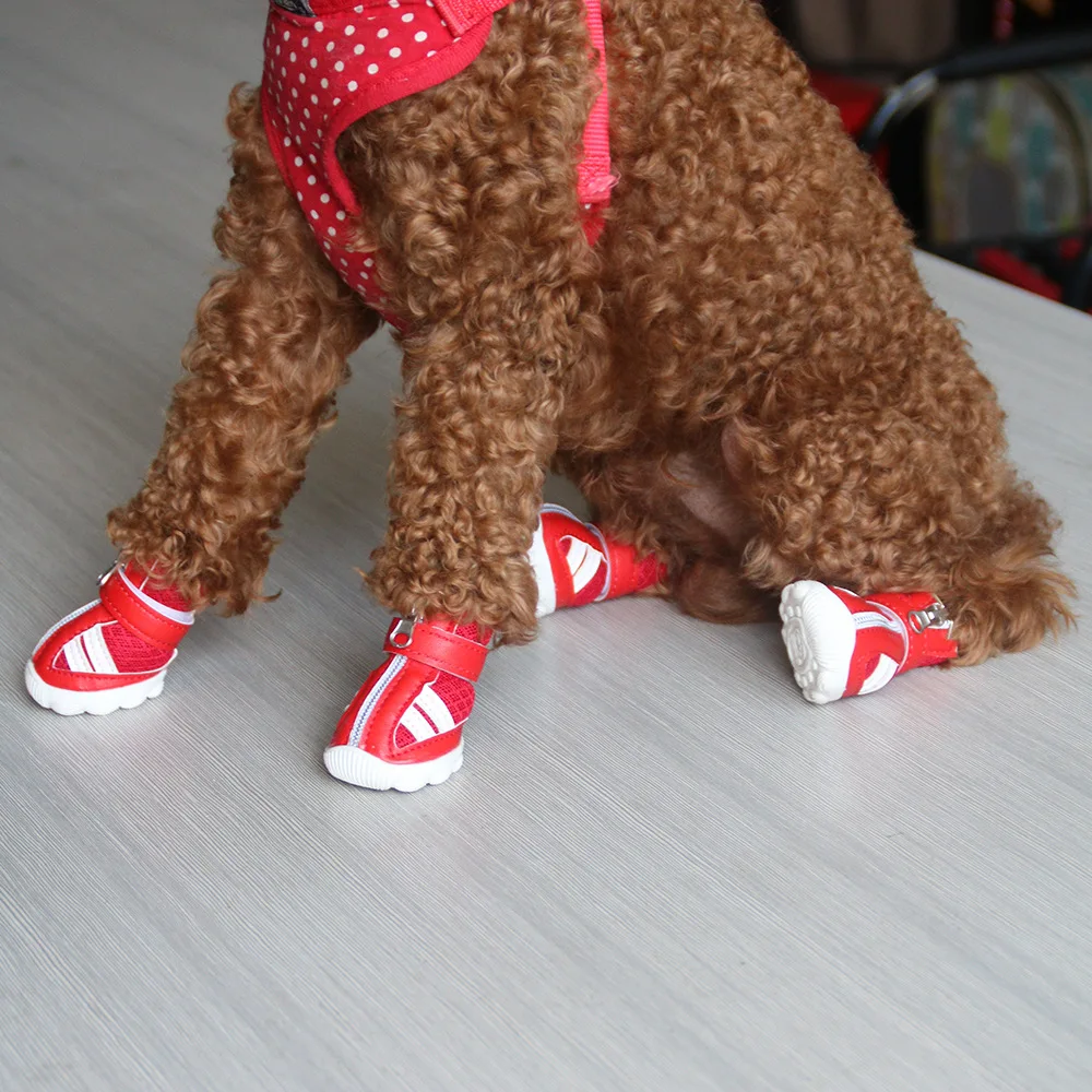 Обувь для домашних животных с перекрестной каймой для порода собак Тэдди бишонфризе модные повседневные ботинки для собак обувь для маленьких собак г. Новая стильная обувь для щенков