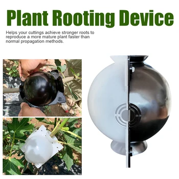 

Box Plant Rooting Device Reusable Propagation Ball Indoor Outdoor Cutting Grafting Durable Air Layering Growing High Pressure