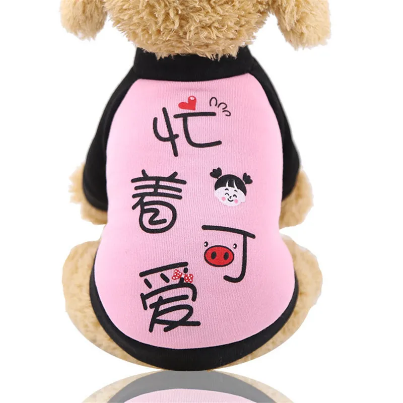 11758902051_1119372358