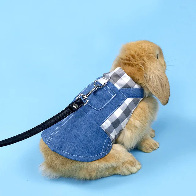 Cute Bunny Vest Harness 3