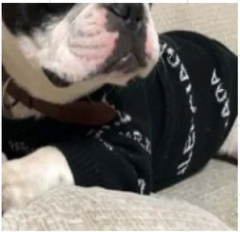 

Cute Small Dog Sweater Winter Warm Pet Clothes for Chihuahua Yorkies Pullovers Pets Clothing for Dogs Puppy Suit Outfit