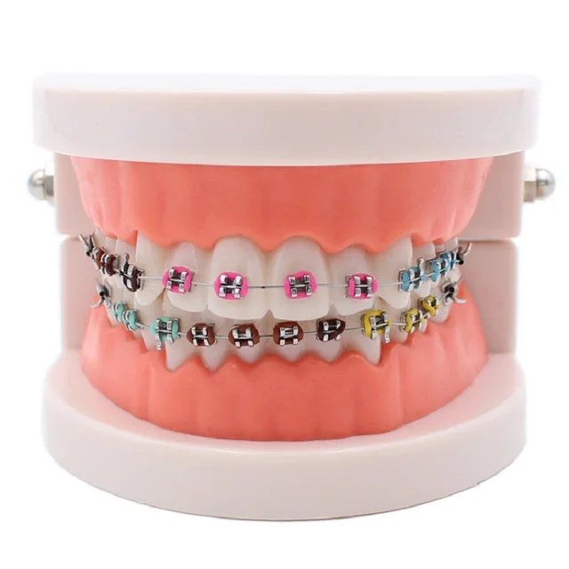 Dental ortodontyczne leczenie Model z Ortho metalowy uchwyt ceramiczny łuk drut tubka dentystyczna podwiązki dentysta narzędzia Lab 6