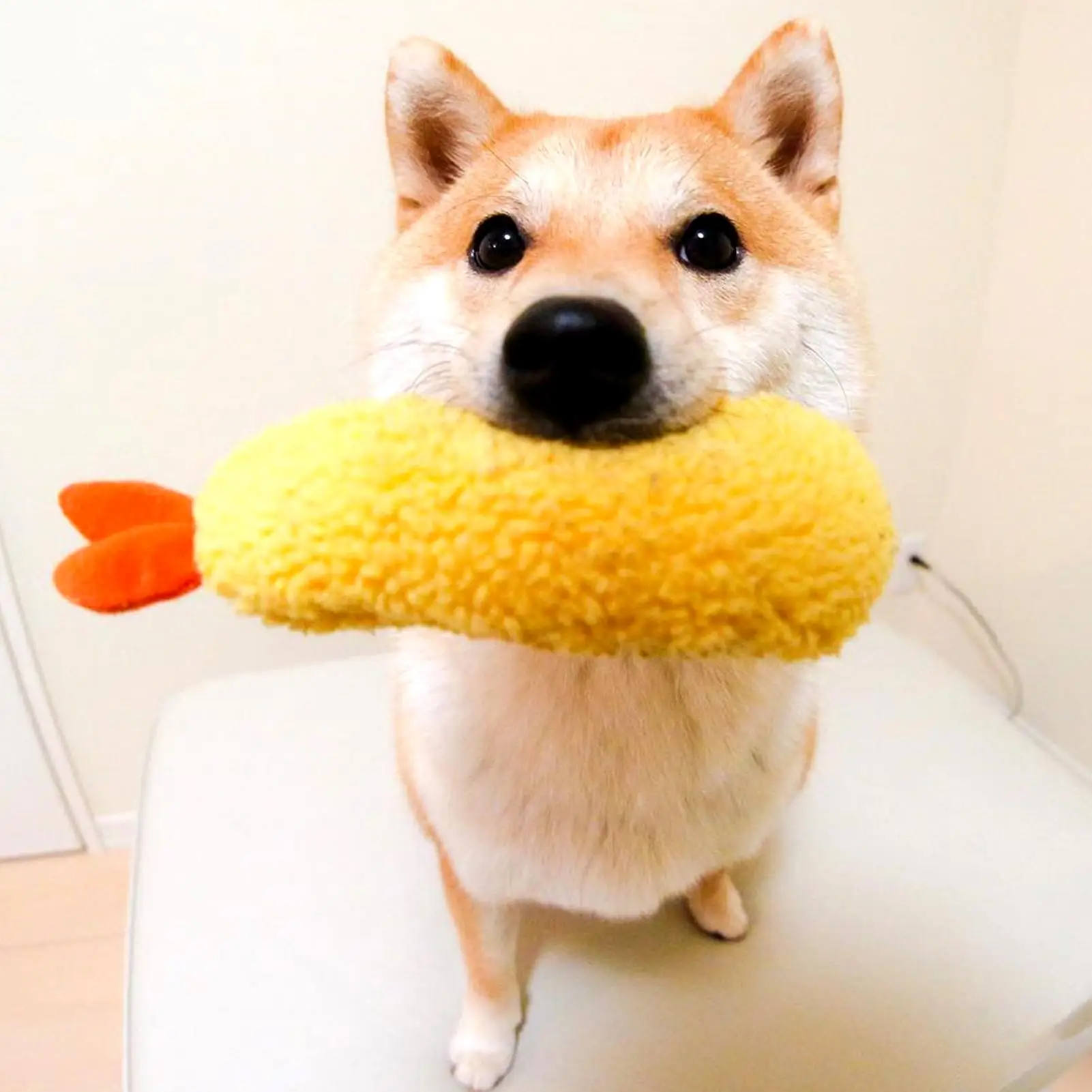 Tempura Fried Shrimp Shape Soft Plush Toy With Sound Shiba Inu Pet Dog