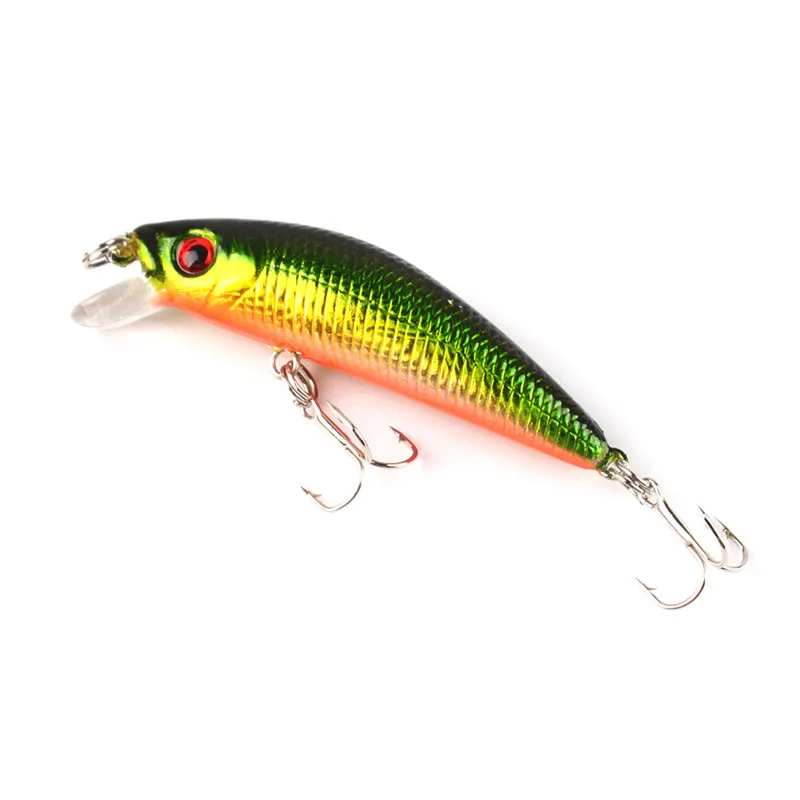 242039_no-logo_IMG_5598