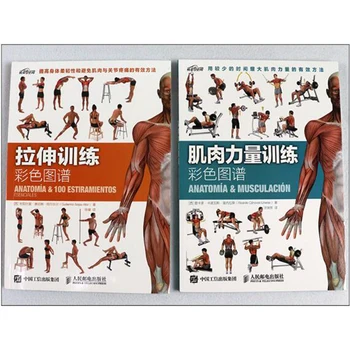 

2/PCS muscle strength training + stretching training color map exercise fitness muscle stretching books science movement