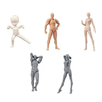 

PVC Action Figure Human Movable Body Joints Doll Male Female Nude Archetype