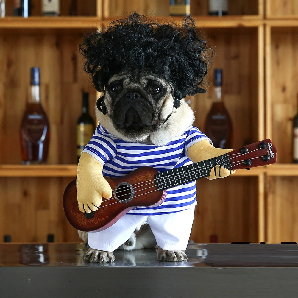 Disfraz divertido para perro gato, ropa para disfraz de guitarra para Halloween, Navidad, Año Nuevo, producto para para gatos| - AliExpress