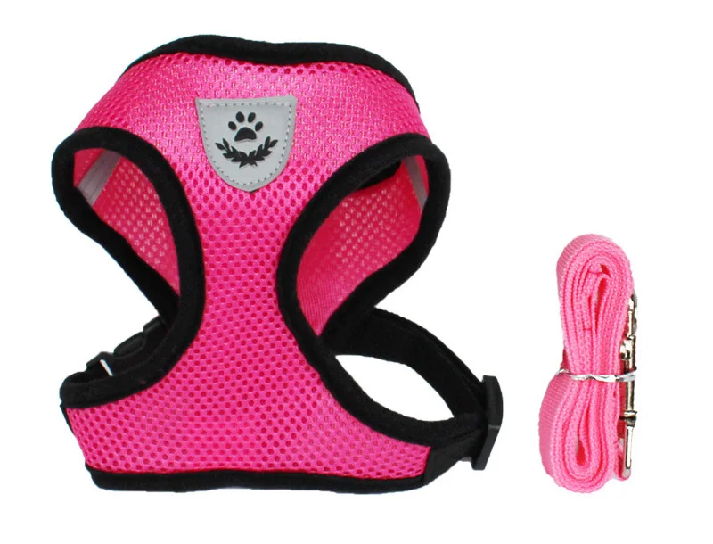 dog harness