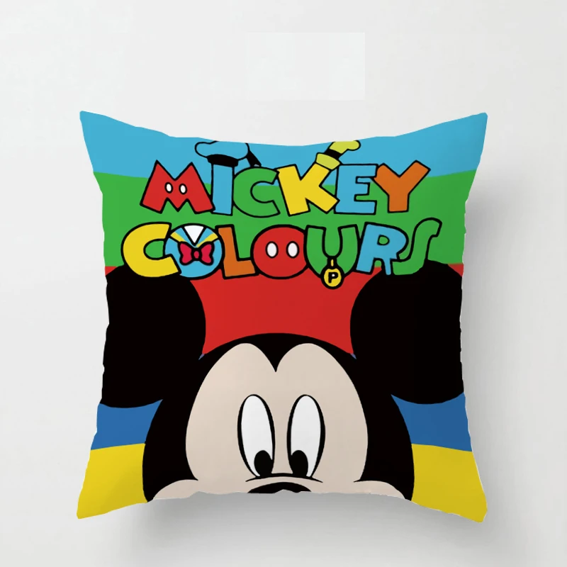 cushion cover (12)