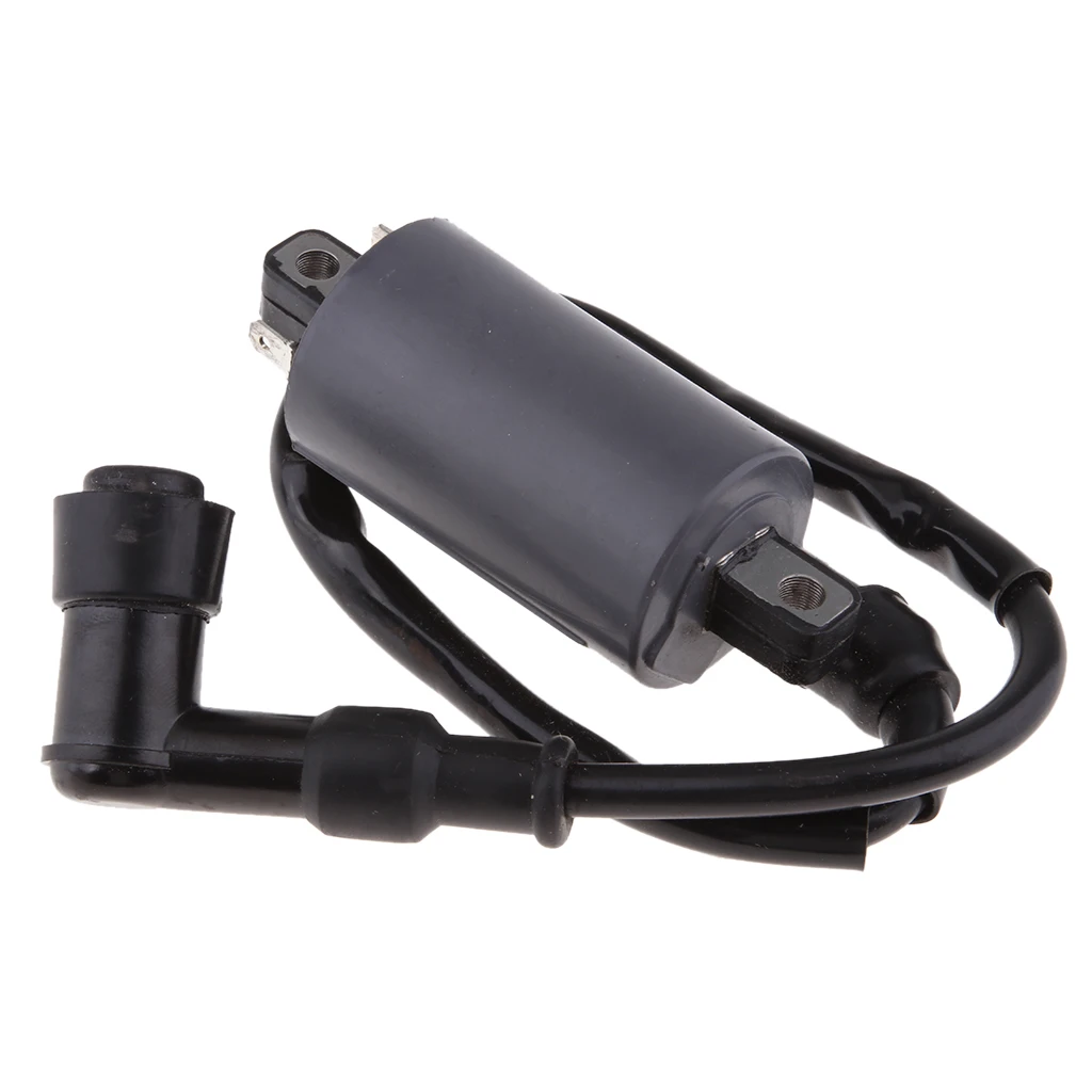 Motorcycle Ignition Coil for Buyang 300CC D300 G300 H300 ATV Quad