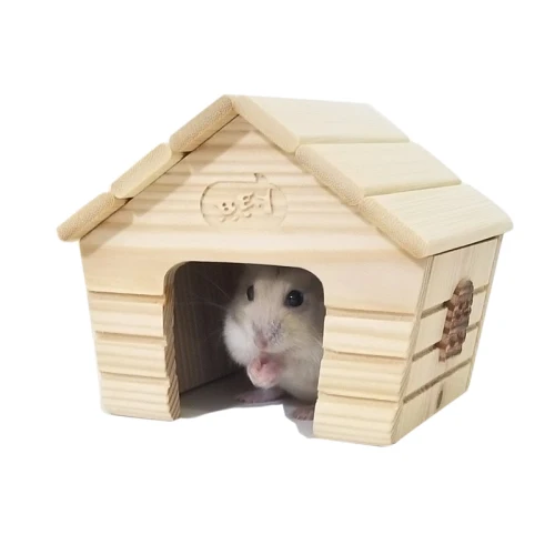 G house 10X10X9cm