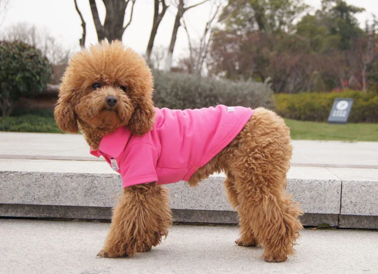 Dog Clothes Spring And Summer Autumn Clothing Vest Sleeves Teddy Puppy Pet Clothes Polo Can Be Mixed Batch