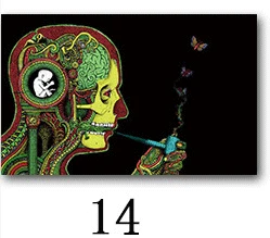 Психоделическая кислота ЛСД акриловая шелковая Художественная печать живопись плакат Настенные картины для гостиной украшения домашнего декора без рамки - Цвет: 14