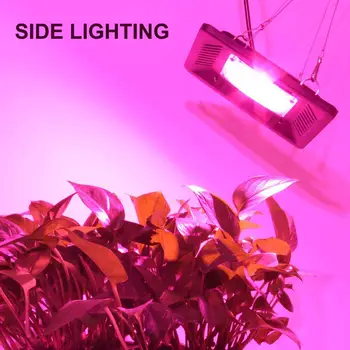 

200/400/600W Waterproof Full Spectrum LED Grow Lights For Veg Plant Growing