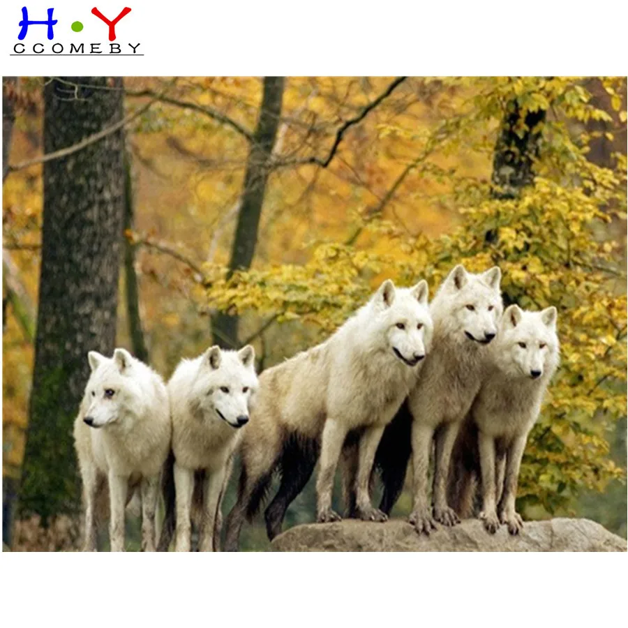 волк долины маккензи черный. волки стая. во главе стаи стоит вожак. волки стая. сумерки джейкоб волк стая.