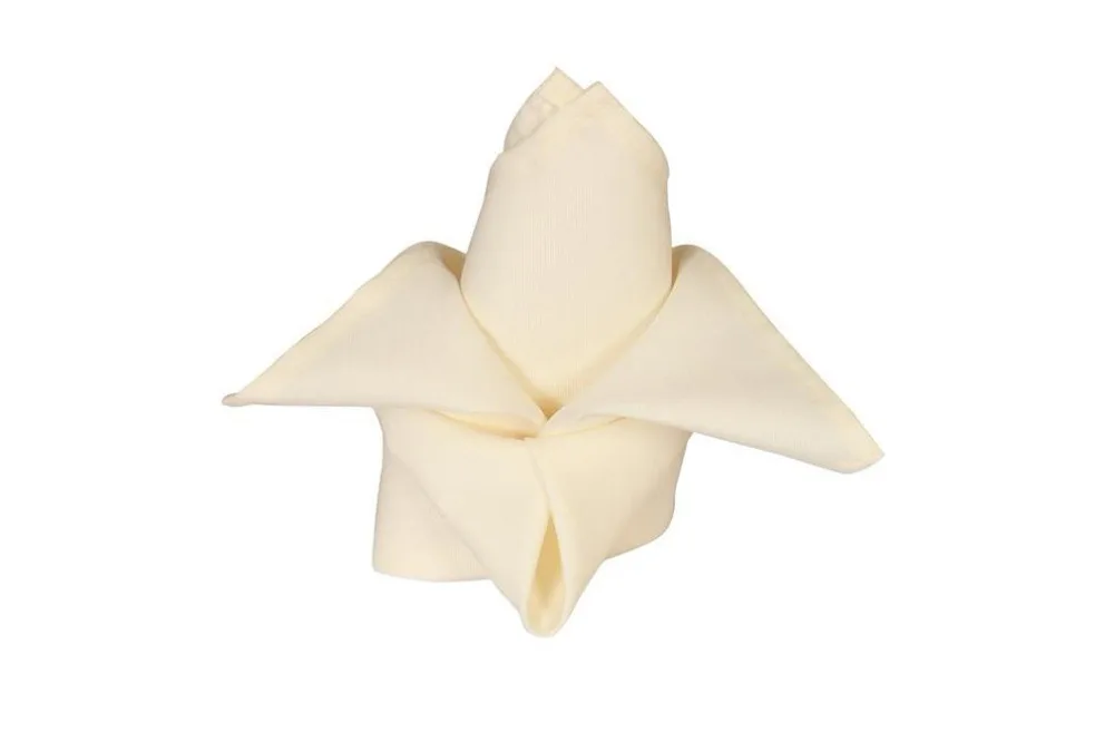 ivory 涤纶餐巾.jpg2