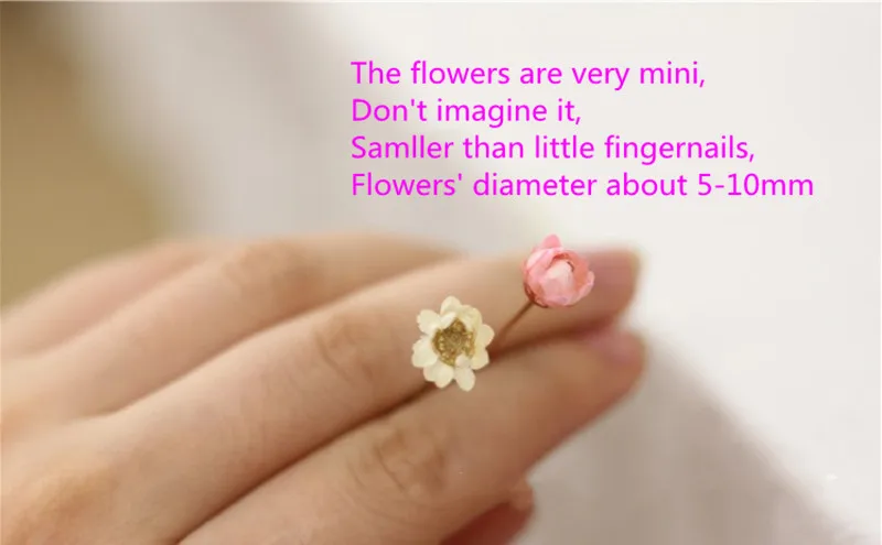 9692506172_1442471722