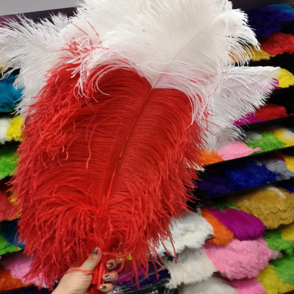 mmexport1584092860336