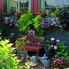 Garden Supplies