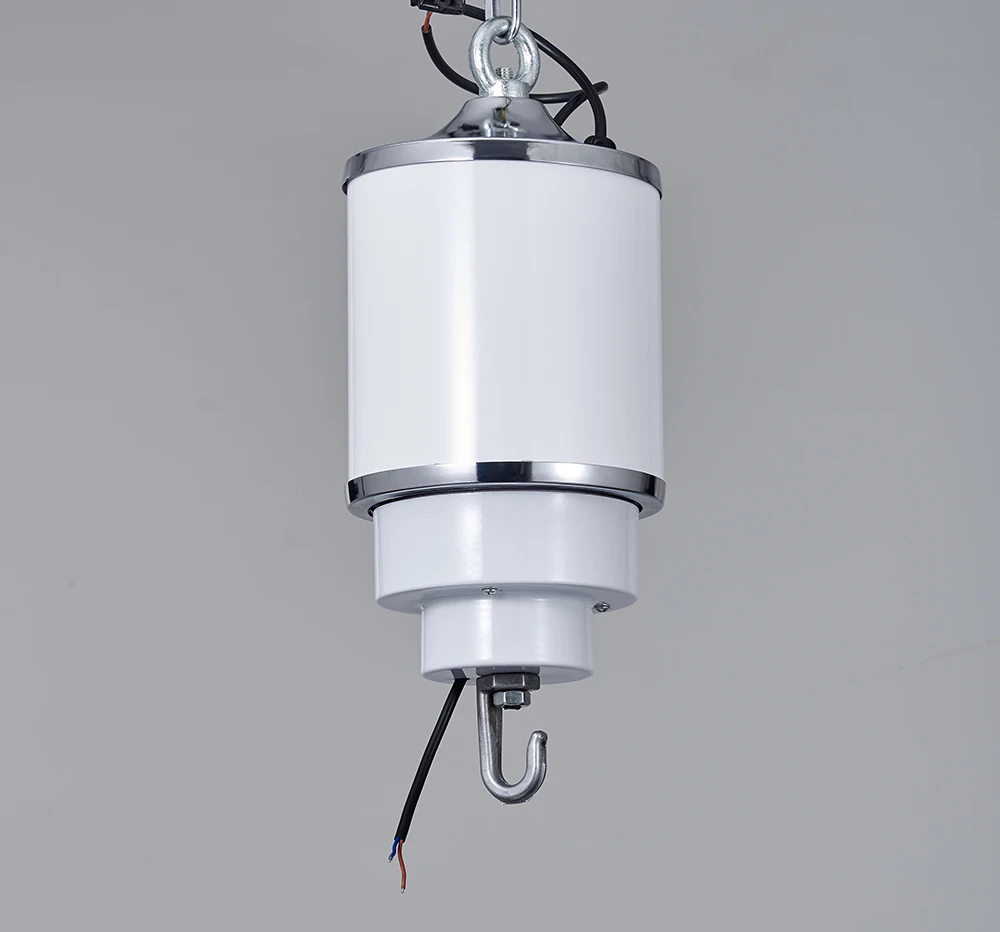15 KG 15 M Electric Winch Lifter Remote Control Coding Laser Lighting Hoist Electric Winch Lifting Light 2 Steels