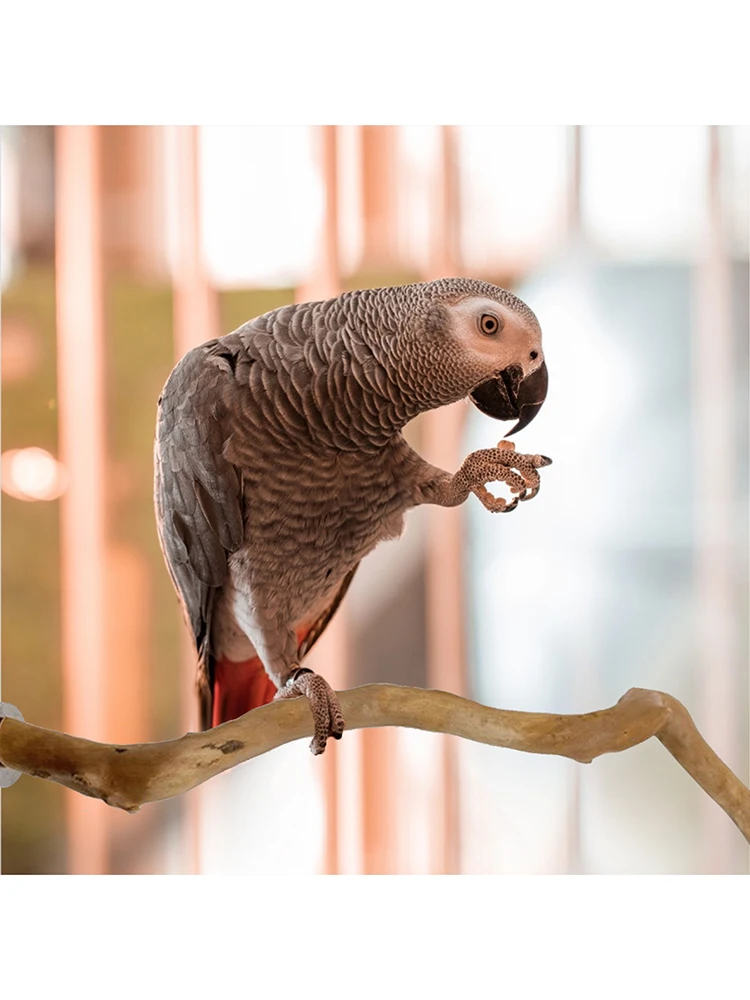 Деревянная подставка для попугаев игрушка в виде попугая аксессуар натуральная
