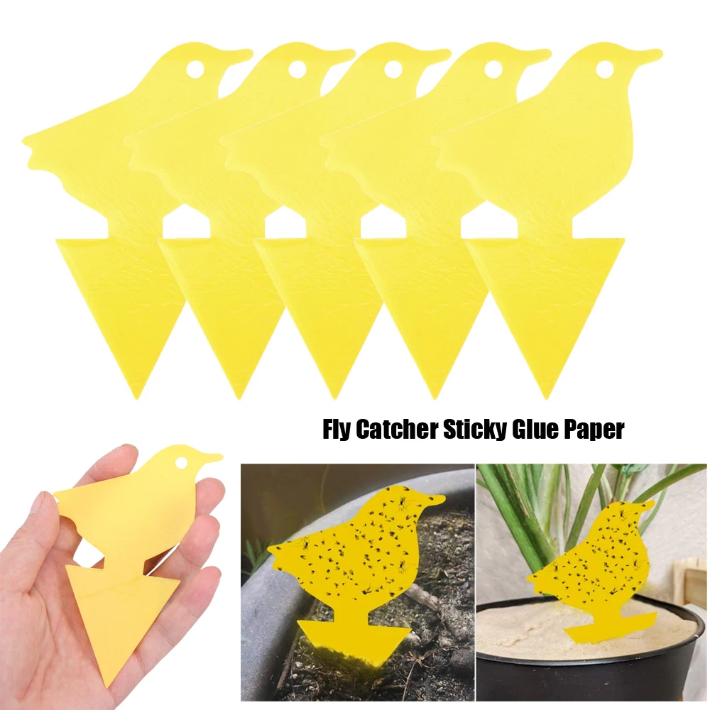 Pegamento adhesivo amarillo de doble cara para Control de plagas, trampa de papel para insectos, para jardín, interior y exterior, 10 Uds.