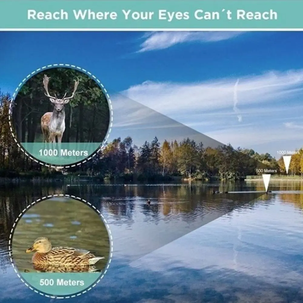 476801_625c9ffbe5cb4846b750c72766e3b953